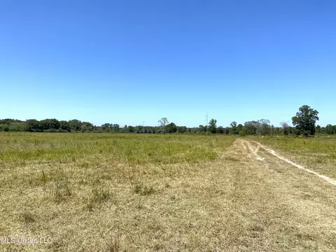 787 Highway 487, Carthage, MS 39051 photo 10