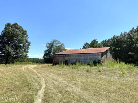 787 Highway 487, Carthage, MS 39051 photo 11