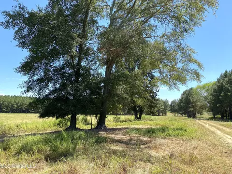 787 Highway 487, Carthage, MS 39051 photo 13