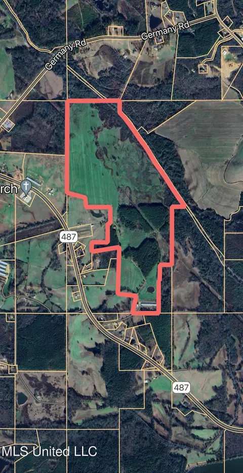 787 Highway 487, Carthage, MS 39051 photo 3
