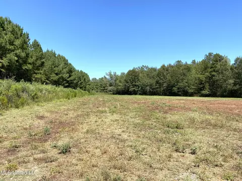 787 Highway 487, Carthage, MS 39051 photo 9