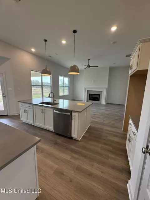Kitchen - 13564 Birch Bnd, Olive Branch, MS 38654 photo 1 of 1