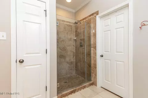 Bath - 1394 Village Wood Dr, Hernando, MS 38632 photo 2 of 3