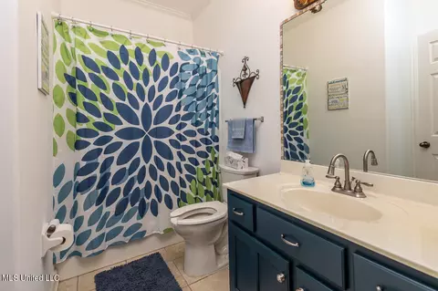Bath - 1394 Village Wood Dr, Hernando, MS 38632 photo 3 of 3