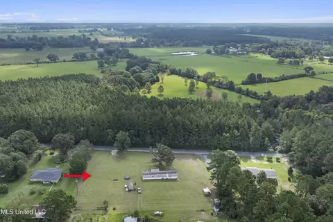 91 Mike Breland Rd, Perkinston, MS 39573 photo 17