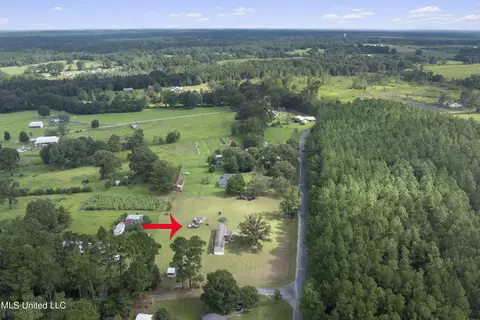 91 Mike Breland Rd, Perkinston, MS 39573 photo 19