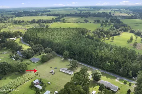 91 Mike Breland Rd, Perkinston, MS 39573 photo 18