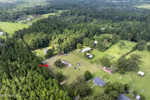 91 Mike Breland Rd, Perkinston, MS 39573 photo 15