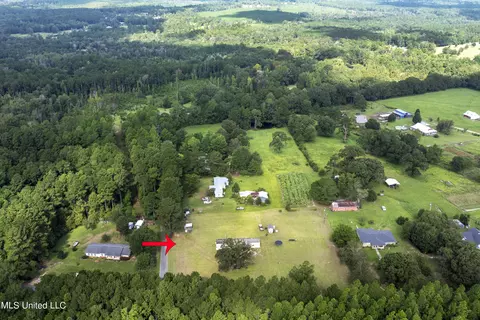 91 Mike Breland Rd, Perkinston, MS 39573 photo 14