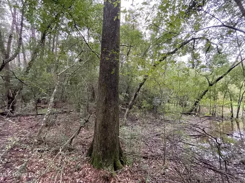 Methodist Home Road, Jackson, MS 39213 photo 4