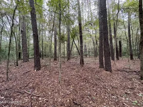 Methodist Home Road, Jackson, MS 39213 photo 2