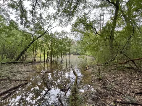 Methodist Home Road, Jackson, MS 39213 photo 5
