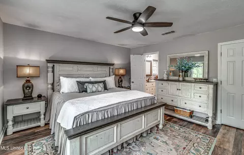 302 Camelia Trl, Brandon, MS 39047 photo 30