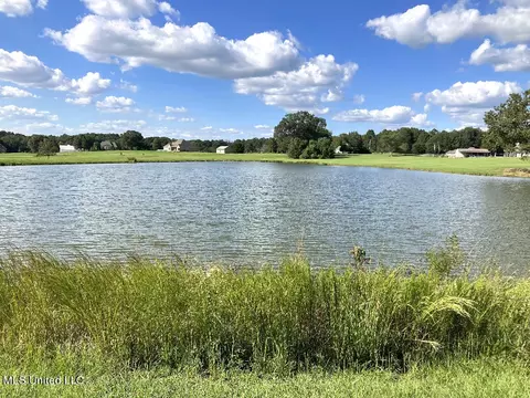 View/Area - 170 Winchester Dr, Flora, MS 39071 photo 5 of 5