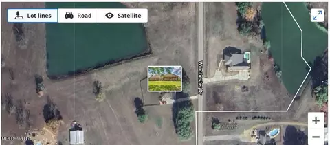 Other - 170 Winchester Dr, Flora, MS 39071 photo 27 of 31