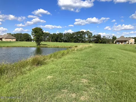 Other - 170 Winchester Dr, Flora, MS 39071 photo 30 of 31