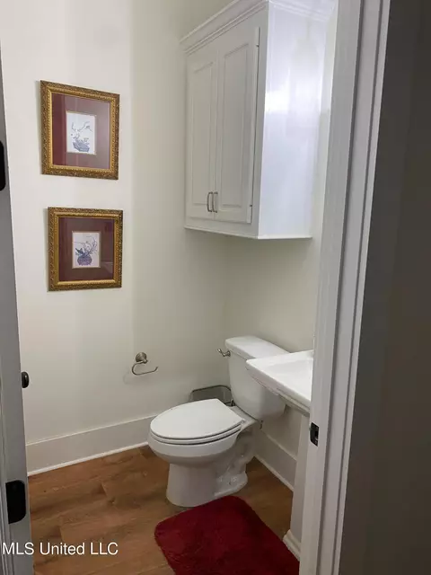 Bath - 170 Winchester Dr, Flora, MS 39071 photo 3 of 11