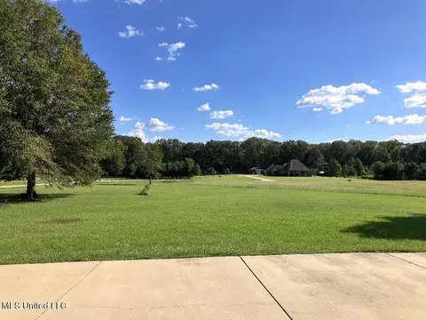Exterior - 170 Winchester Dr, Flora, MS 39071 photo 16 of 16