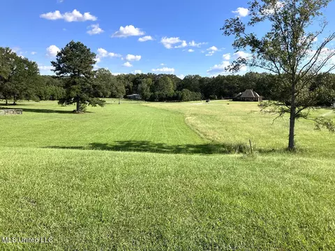 Exterior - 170 Winchester Dr, Flora, MS 39071 photo 14 of 16