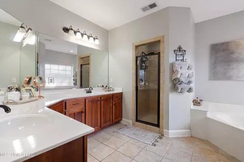 Bath - 701 Shadow View Dr, Hernando, MS 38632 photo 1 of 6