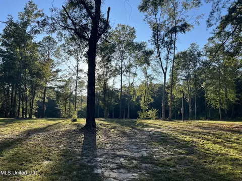 Coyt Brooks, Lucedale, MS 39452 photo 6
