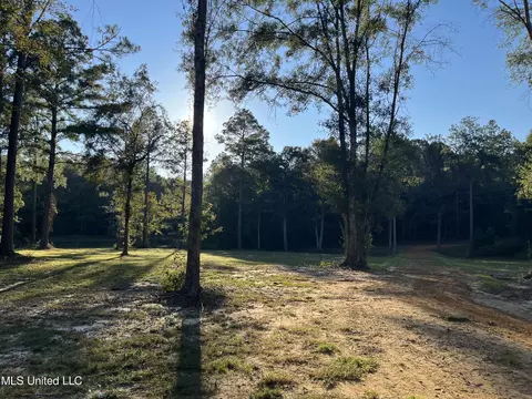 Coyt Brooks, Lucedale, MS 39452 photo 7