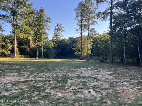 Coyt Brooks, Lucedale, MS 39452 photo 8