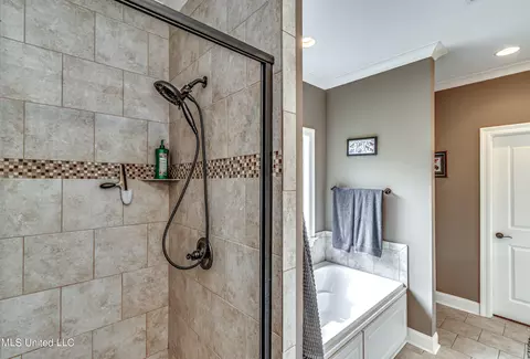 Bath - 165 Fieldstone Ln, Madison, MS 39110 photo 2 of 4