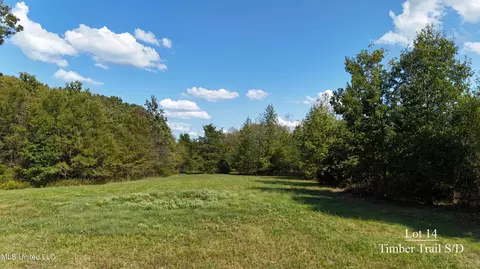 14 Tyro Branch Cv, Senatobia, MS 38668