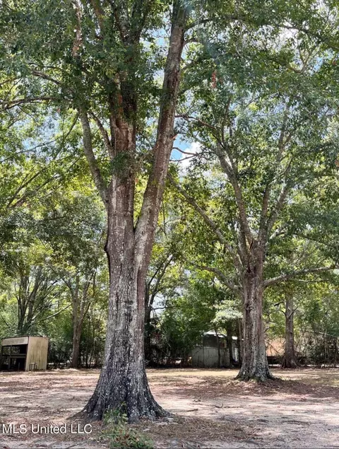 11051 Cody Ln, Picayune, MS 39466 photo 12