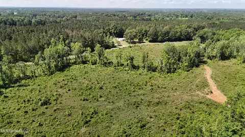 Harrison Road, Forest, MS 39074 photo 10