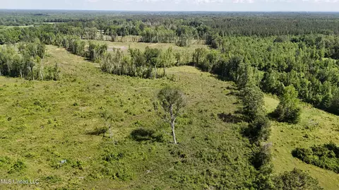Harrison Road, Forest, MS 39074 photo 7