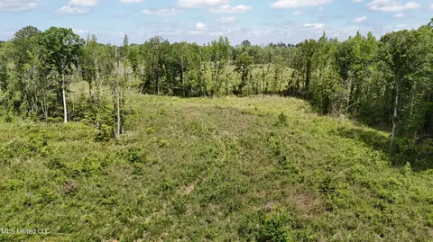 Harrison Road, Forest, MS 39074 photo 22