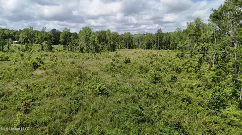 Harrison Road, Forest, MS 39074 photo 29