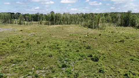 Harrison Road, Forest, MS 39074 photo 26