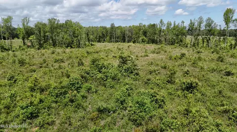 Harrison Road, Forest, MS 39074 photo 13