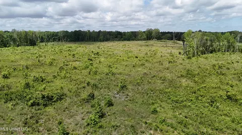 Harrison Road, Forest, MS 39074 photo 20