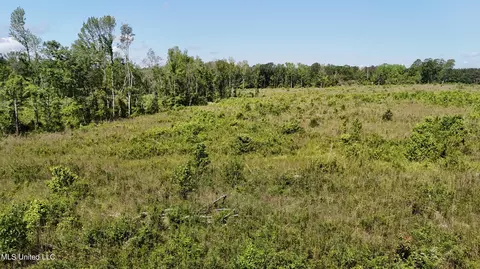 Harrison Road, Forest, MS 39074 photo 6