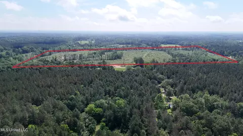Harrison Road, Forest, MS 39074 photo 32