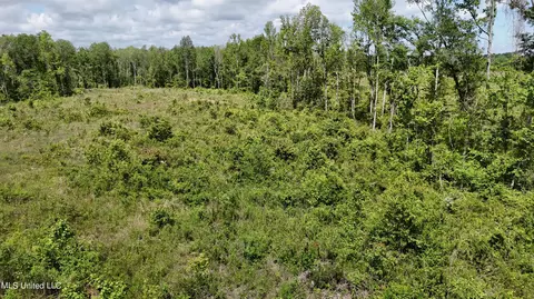 Harrison Road, Forest, MS 39074 photo 15