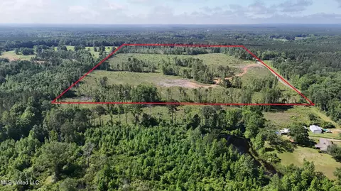Harrison Road, Forest, MS 39074 photo 33