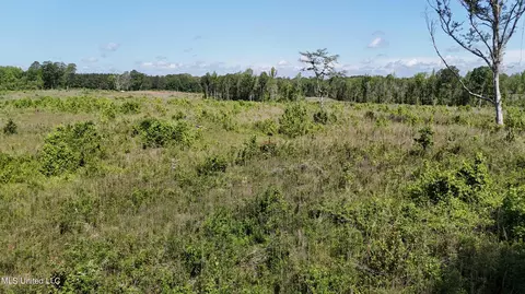 Harrison Road, Forest, MS 39074 photo 5
