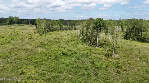 Harrison Road, Forest, MS 39074 photo 21