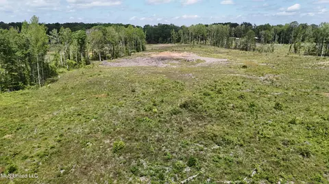 Harrison Road, Forest, MS 39074 photo 25