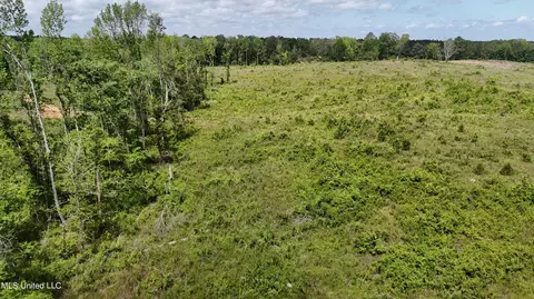 Harrison Road, Forest, MS 39074 photo 16