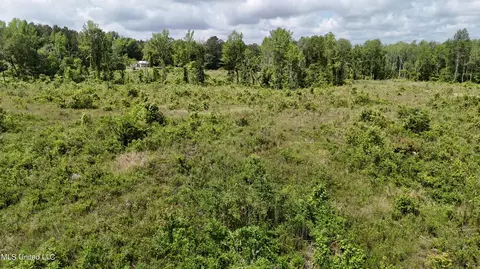 Harrison Road, Forest, MS 39074 photo 14
