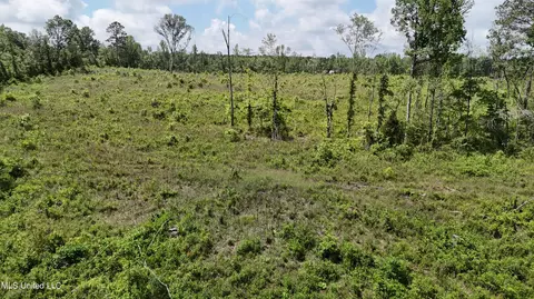 Harrison Road, Forest, MS 39074 photo 23