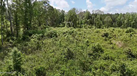 Harrison Road, Forest, MS 39074 photo 31
