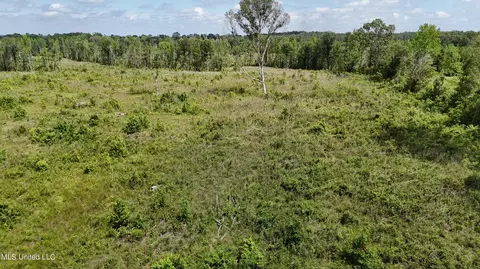 Harrison Road, Forest, MS 39074 photo 18