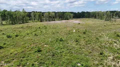 Harrison Road, Forest, MS 39074 photo 27